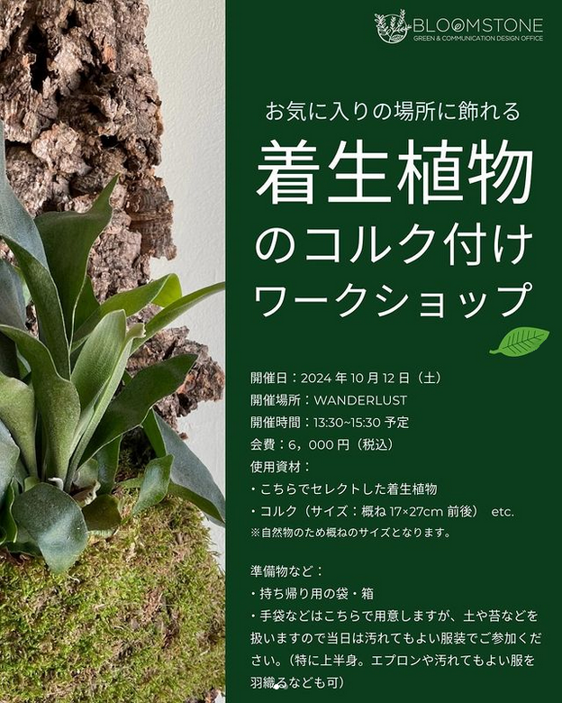 着生植物ワークショップのご案内